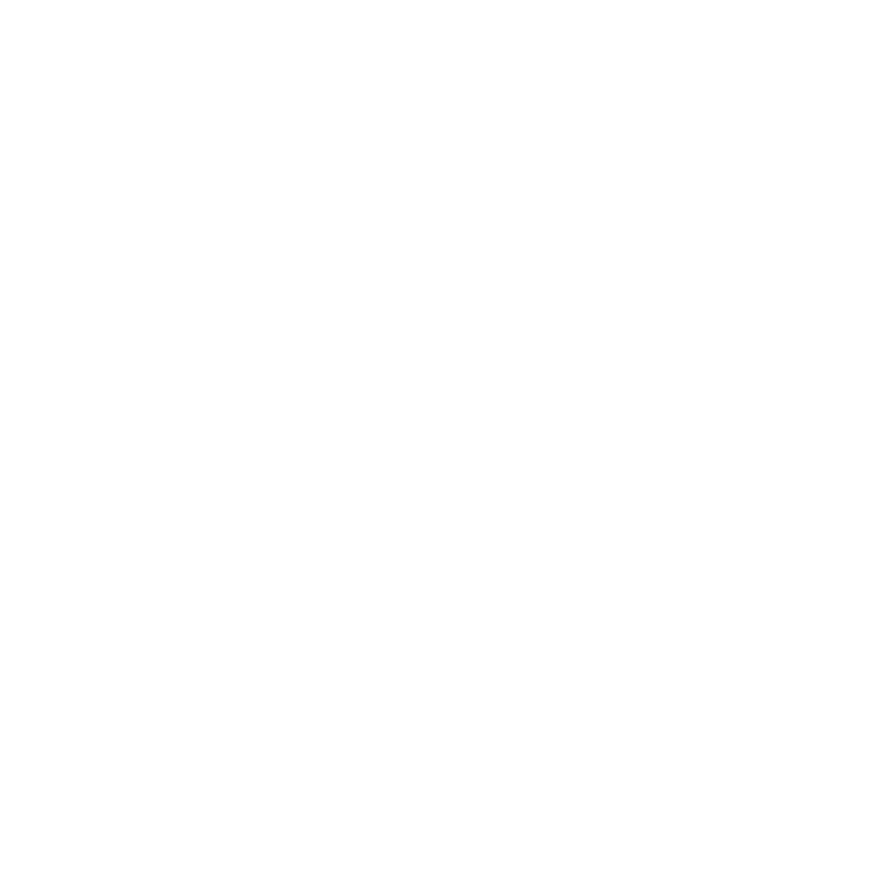 Revak Net
